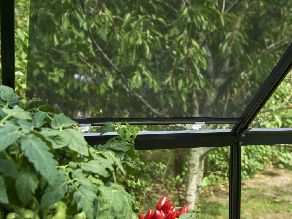 Royal Well Rolscherm 67,5 x 200 cm - Afbeelding 4